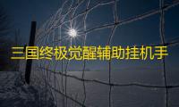 三国终极觉醒辅助挂机手机分身 三国终极觉醒新手阵容推荐